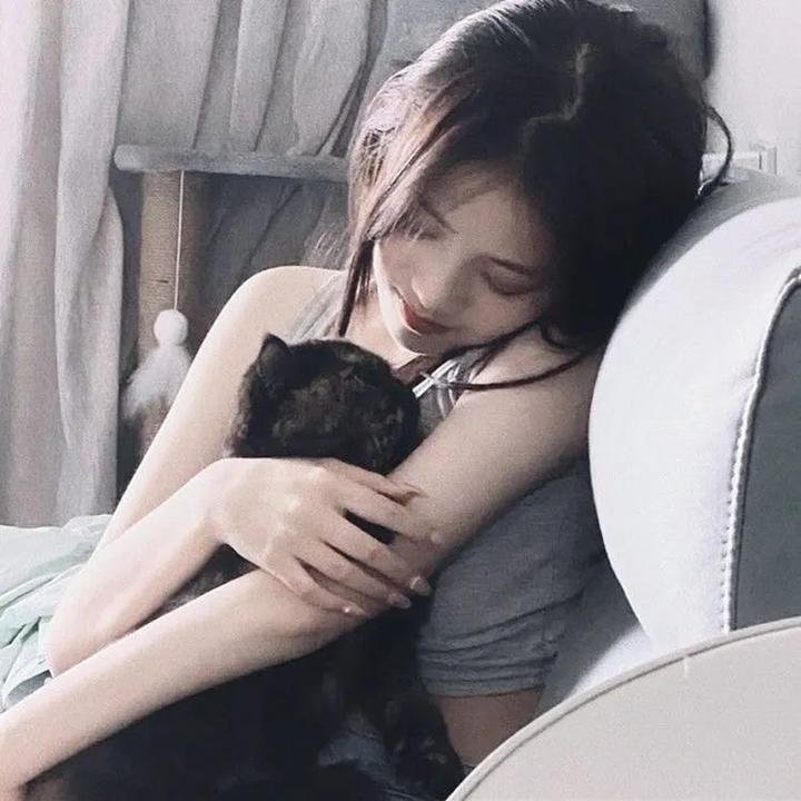 大明按察使后传